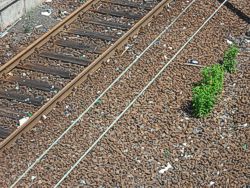 S-Bahn Bild