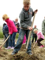 Waldpflanzaktion Bild