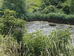 Saale-Leipzig-Kanal Bild