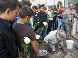 Stolperstein Bild
