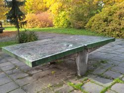 Kulkwitzer See Bild