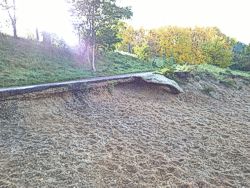 Kulkwitzer See Bild